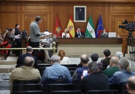 PP, PSOE y Hacemos apoyan pedir a ADIF que la estación de Córdoba lleve el nombre de Julio Anguita