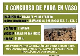 Abierto el plazo de inscripción del X Concurso de Poda de Miguel Esteban