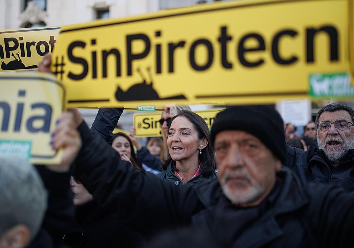 La portavoz socialista en el Ayuntamiento de Madrid, Reyes Maroto, en la concentración