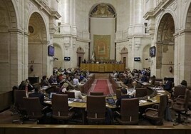 El Parlamento andaluz reparte 10,68 millones entre los grupos políticos para gastos de funcionamiento