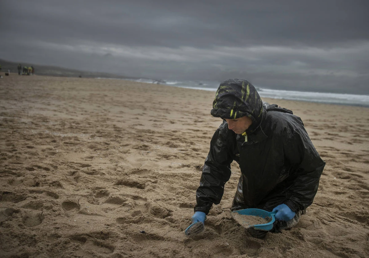 Un hombre recoge pellets en Faro de Corrubedo