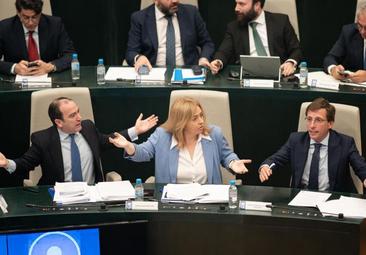 El PP pregunta si se hará una autopsia al pato muerto tras la mascletá