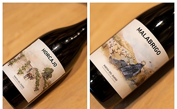 Asalto a la bodega Cepa 21: qué se sabe y cuáles son las incógnitas del sabotaje