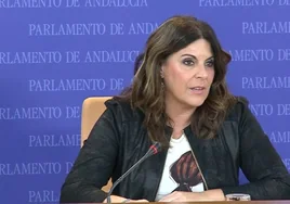 La oposición reclama la retirada del decreto de simplificación de la Junta de Andalucía y prepara ya recursos y la vía judicial
