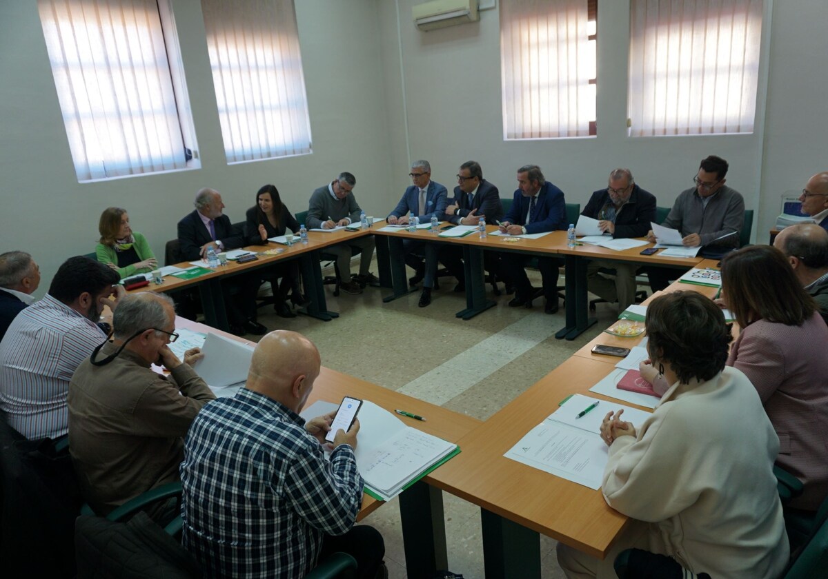 Encuentro de la delegada de la Junta de Andalucía con empresarios y sindicatos