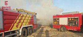 Mueren 21.000 pollos por un incendio en una granja avícola en Castellón