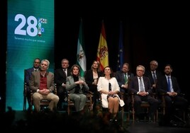 Fotos: la solemne entrega de las banderas de Andalucía en Córdoba