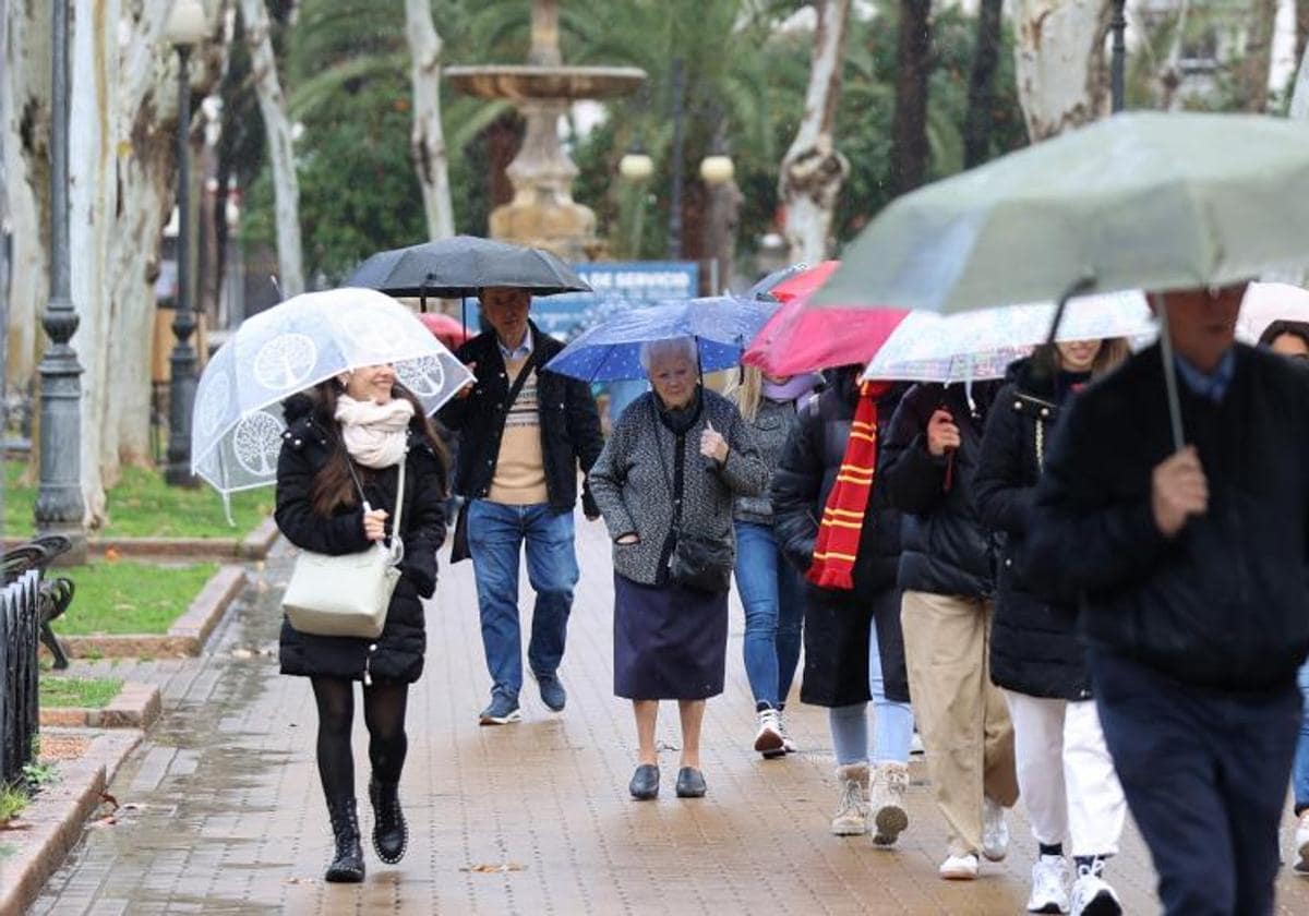 Varias personas se protegen de la lluvia con paraguas en Córdoba