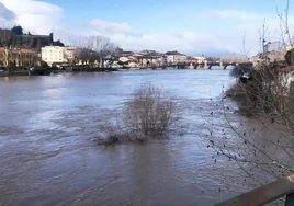 Desciende la situación del Ebro en Miranda tras desbordarse en la zona de La Arboleda