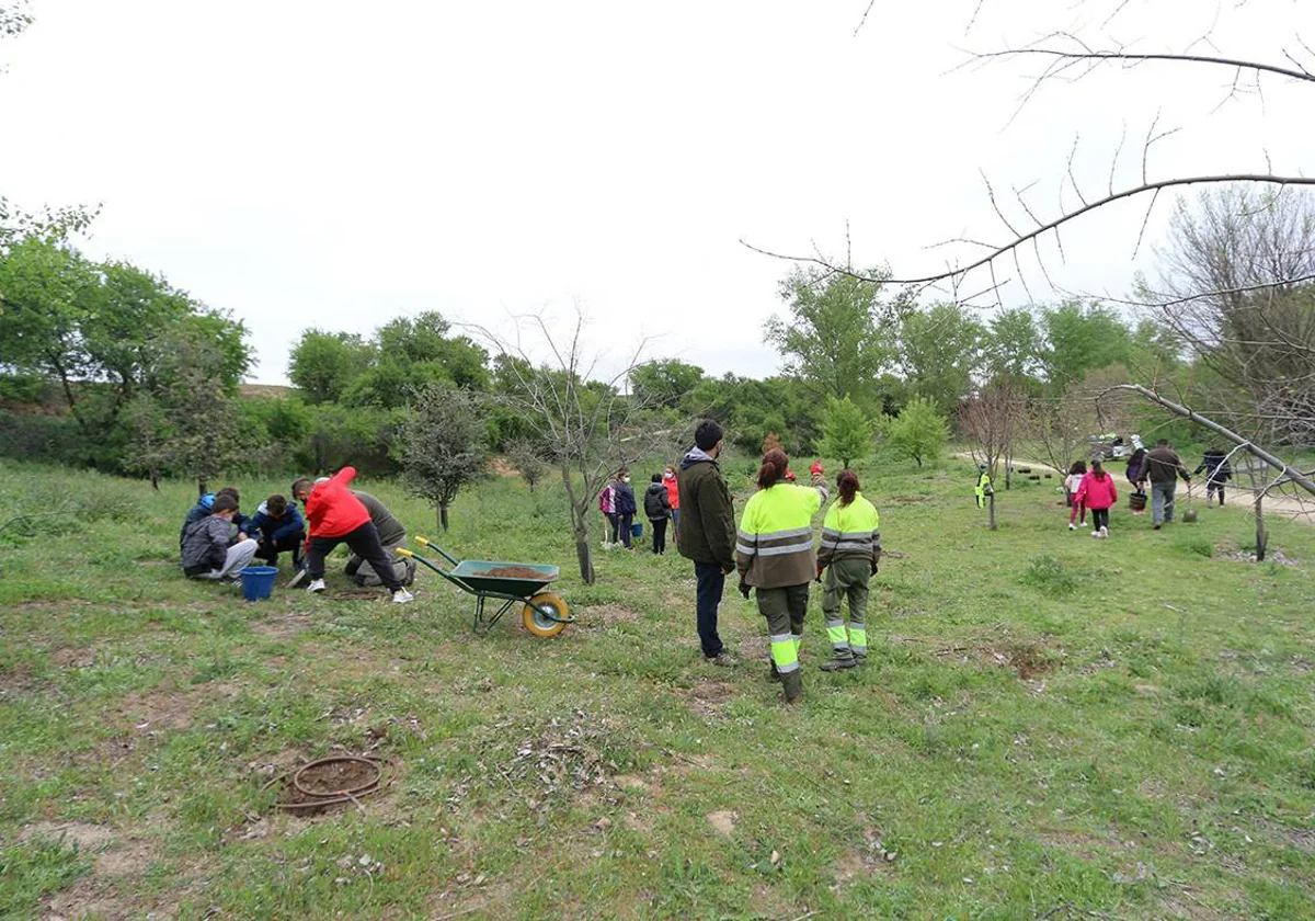 Alumnos de Primaria participan en una plantación de árboles