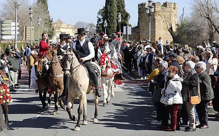 Imagen principal - El caballo marca el paso en Córdoba el Día de Andalucía