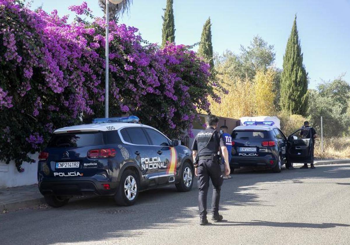 Agentes de la Policía Nacional en una intervención en El Brillante