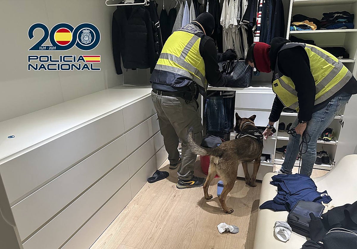 Imagen de la operación llevada a cabo por la Policía Nacional