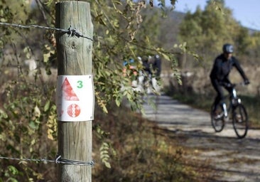 Madrid convenia con Amazon plantar 16.700 árboles y arbustos en el corredor medioambiental Arco Verde