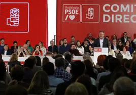 El PSOE de Andalucía dice no tener que dar «ninguna explicación» por el caso Koldo