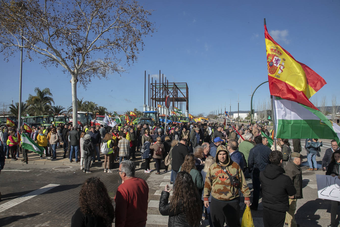 Fotos: la tractorada del campo a su paso por el centro de Córdoba