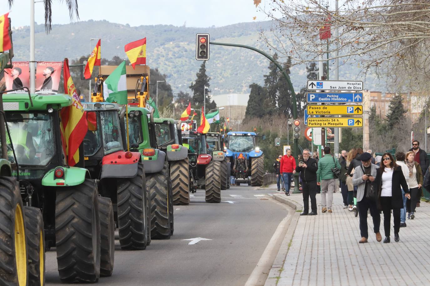 Fotos: La tractorada del campo este domingo en Córdoba