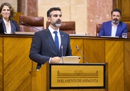El Parlamento andaluz convalida la modificación del decreto de Simplificación que salva el pacto de Doñana
