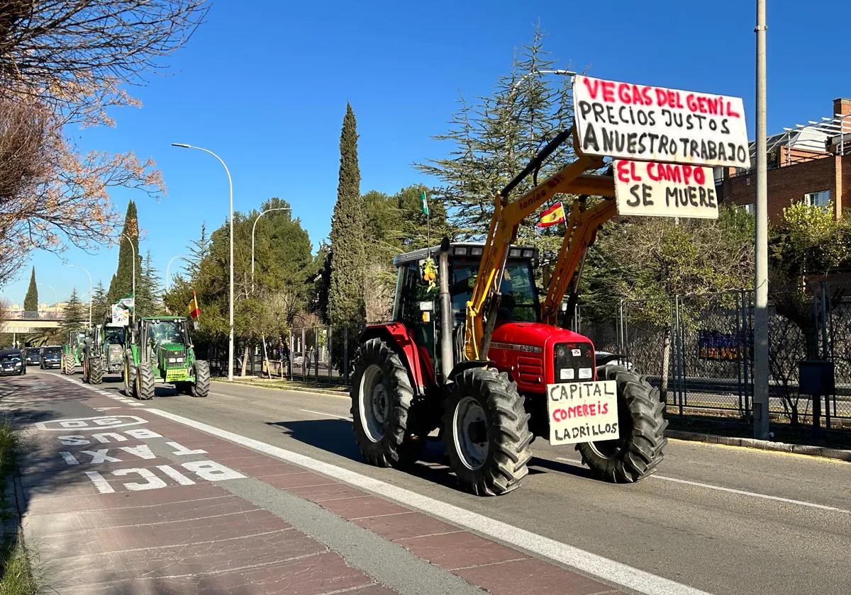 Tractores en la Avenida de Andalucía, en Granada, el pasado 20 de febrero