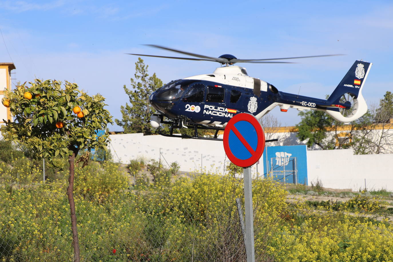 Fotos: así ha sido la búsqueda del hombre de 83 años desaparecido en Lucena