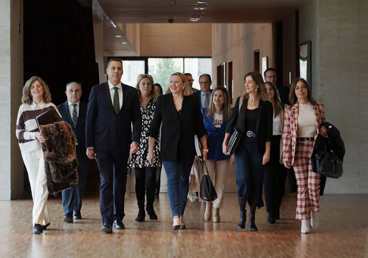 Isabel Blanco, junto a su equipo en la Consejería de Familia e Igualdad de Oportunidades, a su llegada a las Cortes para presentar el presupuesto de su departamento