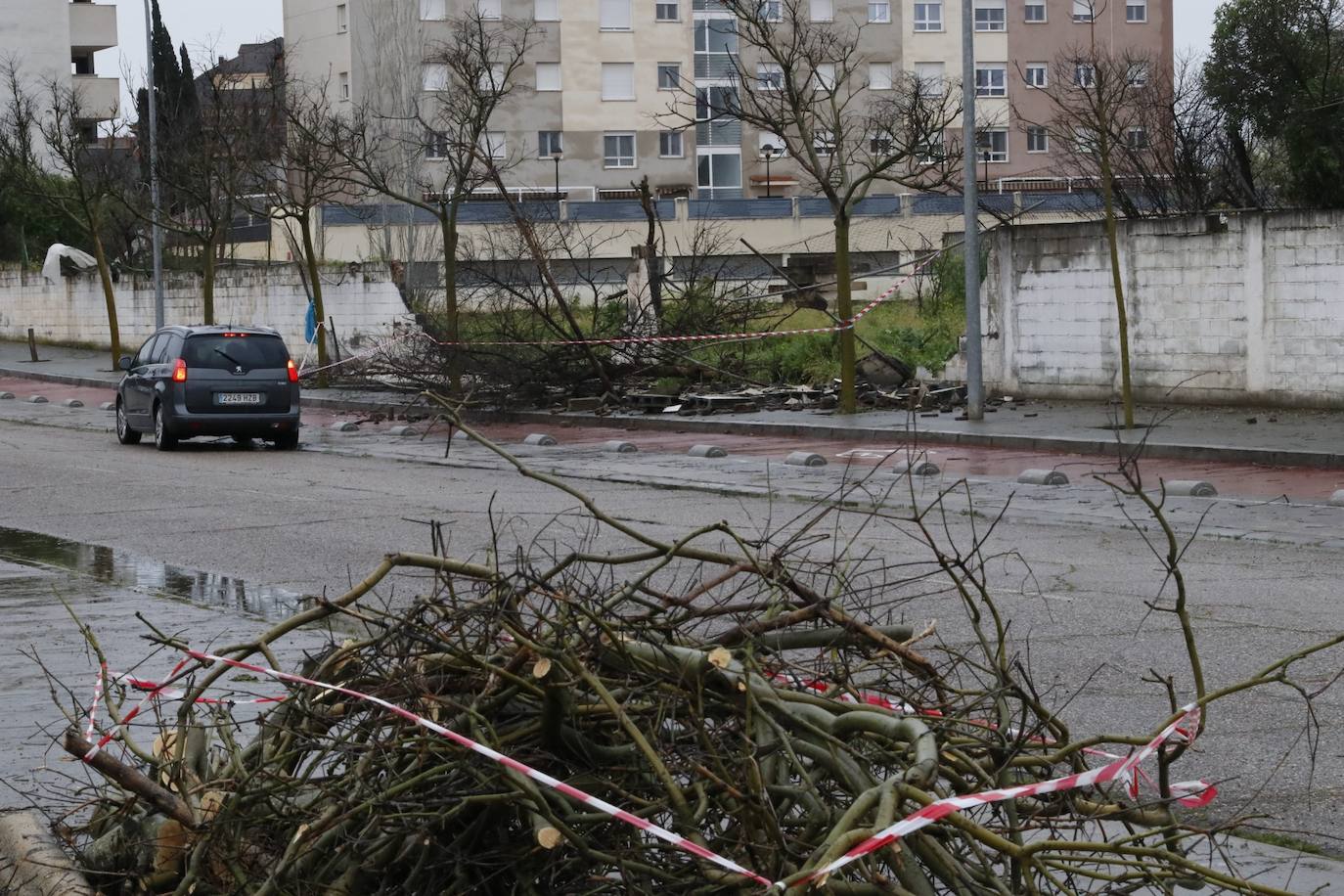 Fotos: los estragos de la lluvia y el viento en Córdoba