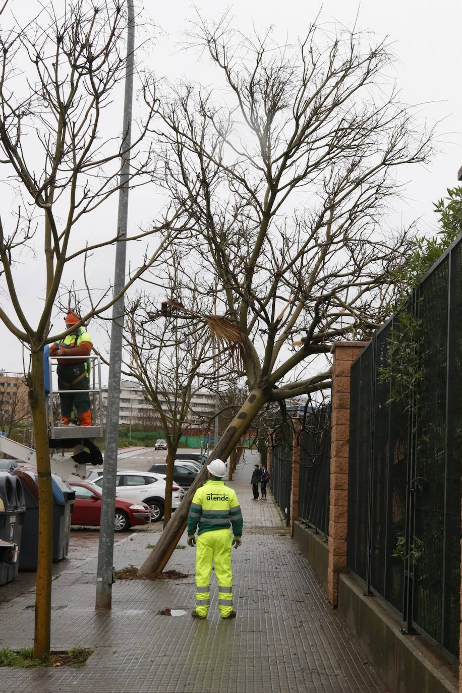 Fotos: los estragos de la lluvia y el viento en Córdoba