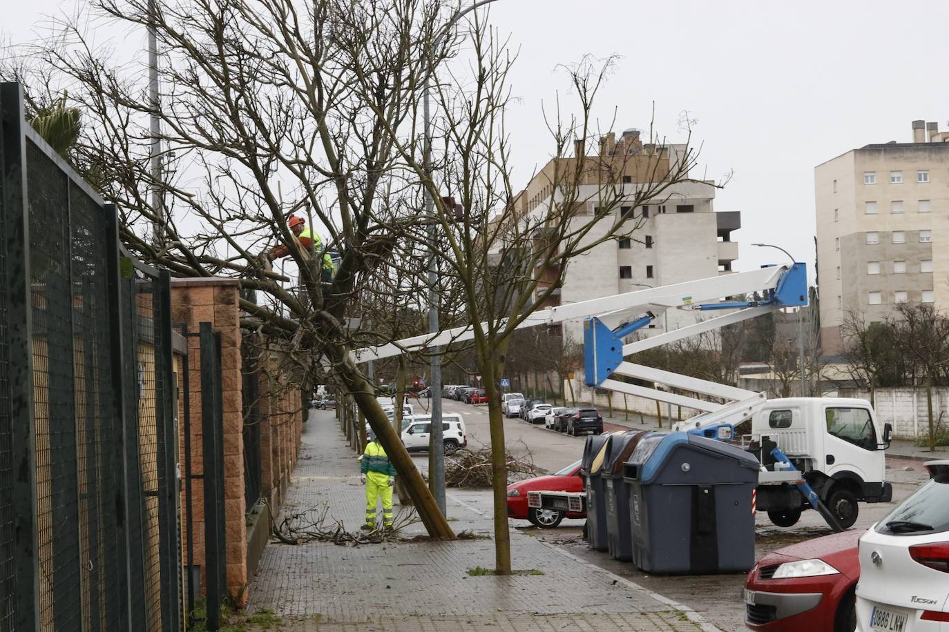 Fotos: los estragos de la lluvia y el viento en Córdoba