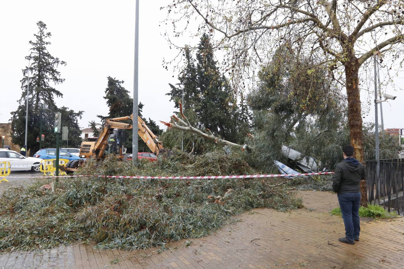 Fotos: los estragos de la lluvia y el viento en Córdoba