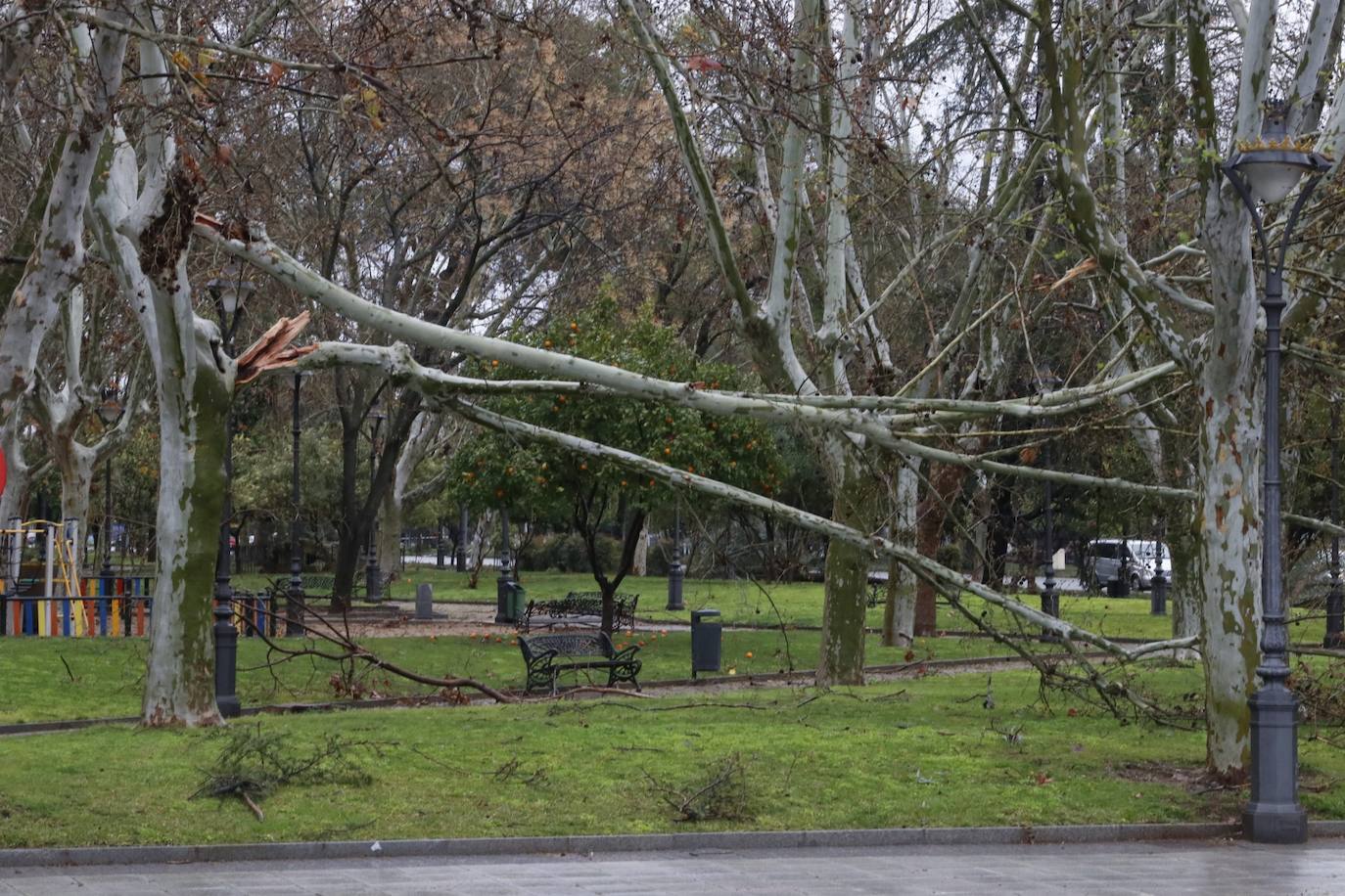 Fotos: los estragos de la lluvia y el viento en Córdoba
