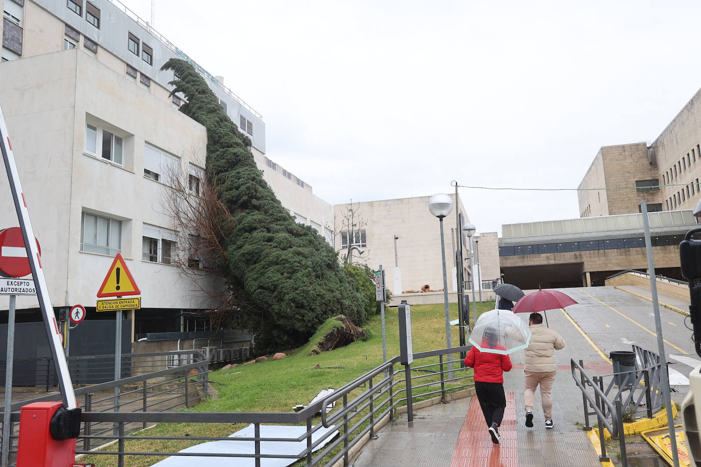 Fotos: los estragos de la lluvia y el viento en Córdoba