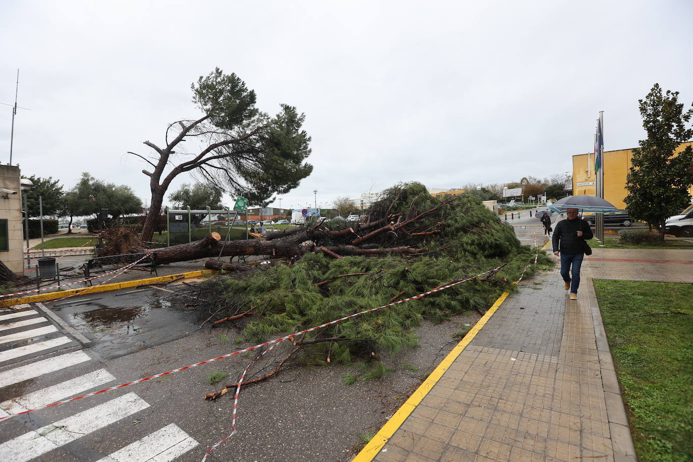 Fotos: los estragos de la lluvia y el viento en Córdoba