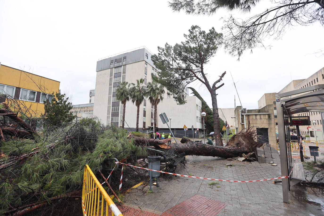 Fotos: los estragos de la lluvia y el viento en Córdoba