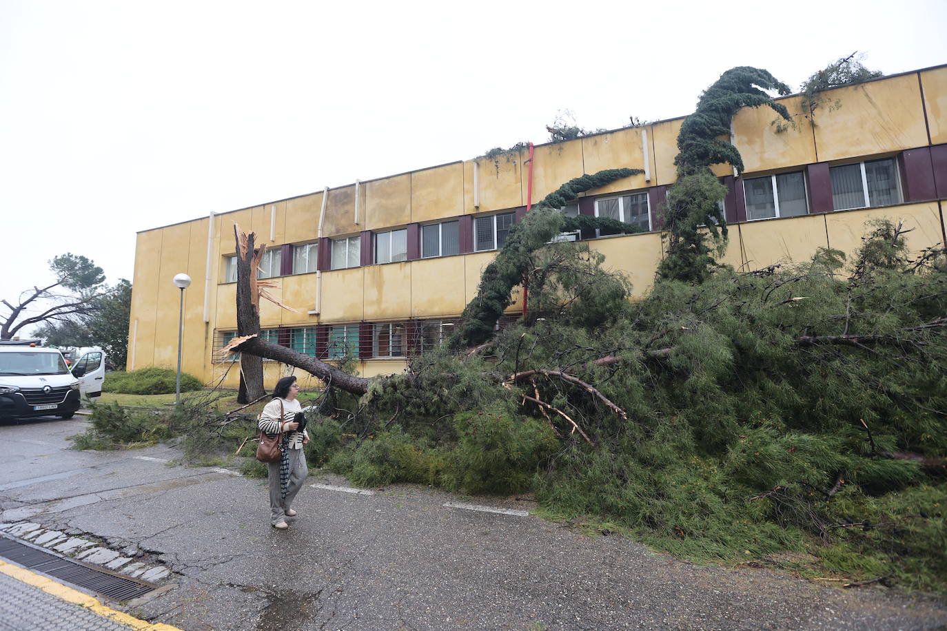Fotos: los estragos de la lluvia y el viento en Córdoba