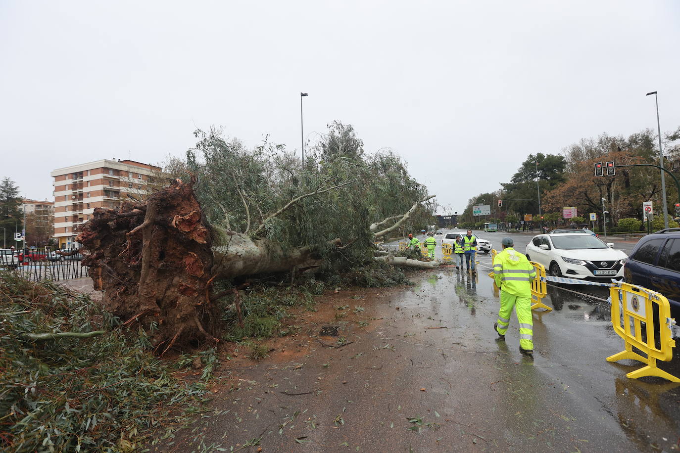 Fotos: los estragos de la lluvia y el viento en Córdoba