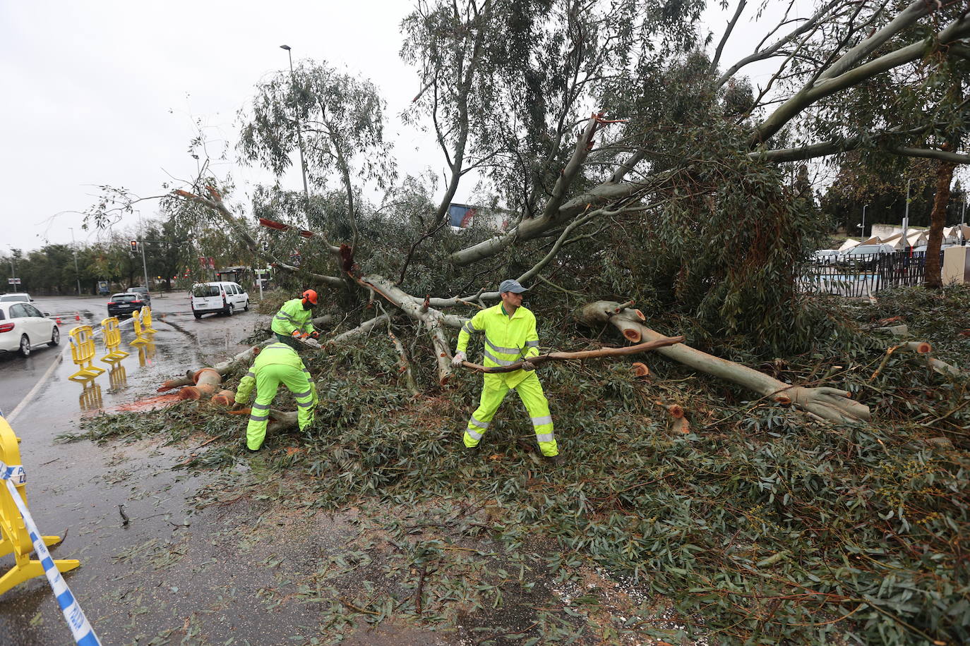 Fotos: los estragos de la lluvia y el viento en Córdoba