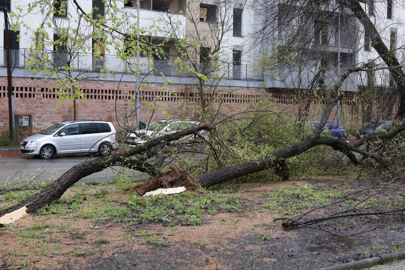 Fotos: los estragos de la lluvia y el viento en Córdoba