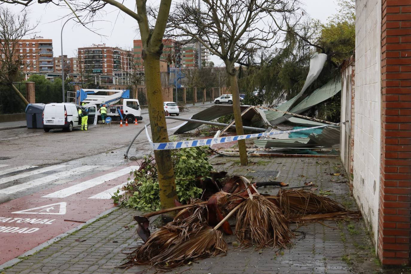 Fotos: los estragos de la lluvia y el viento en Córdoba