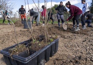 Leds, lombricultura y placas solares para unos centros de FP más 'verdes'