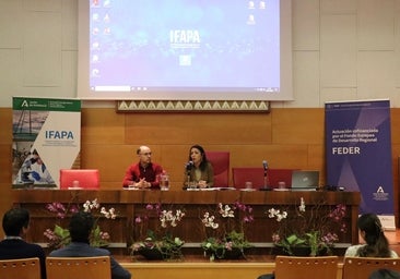 El Ifapa presenta un proyecto para reducir la sal en las aceitunas y el azúcar en las conservas