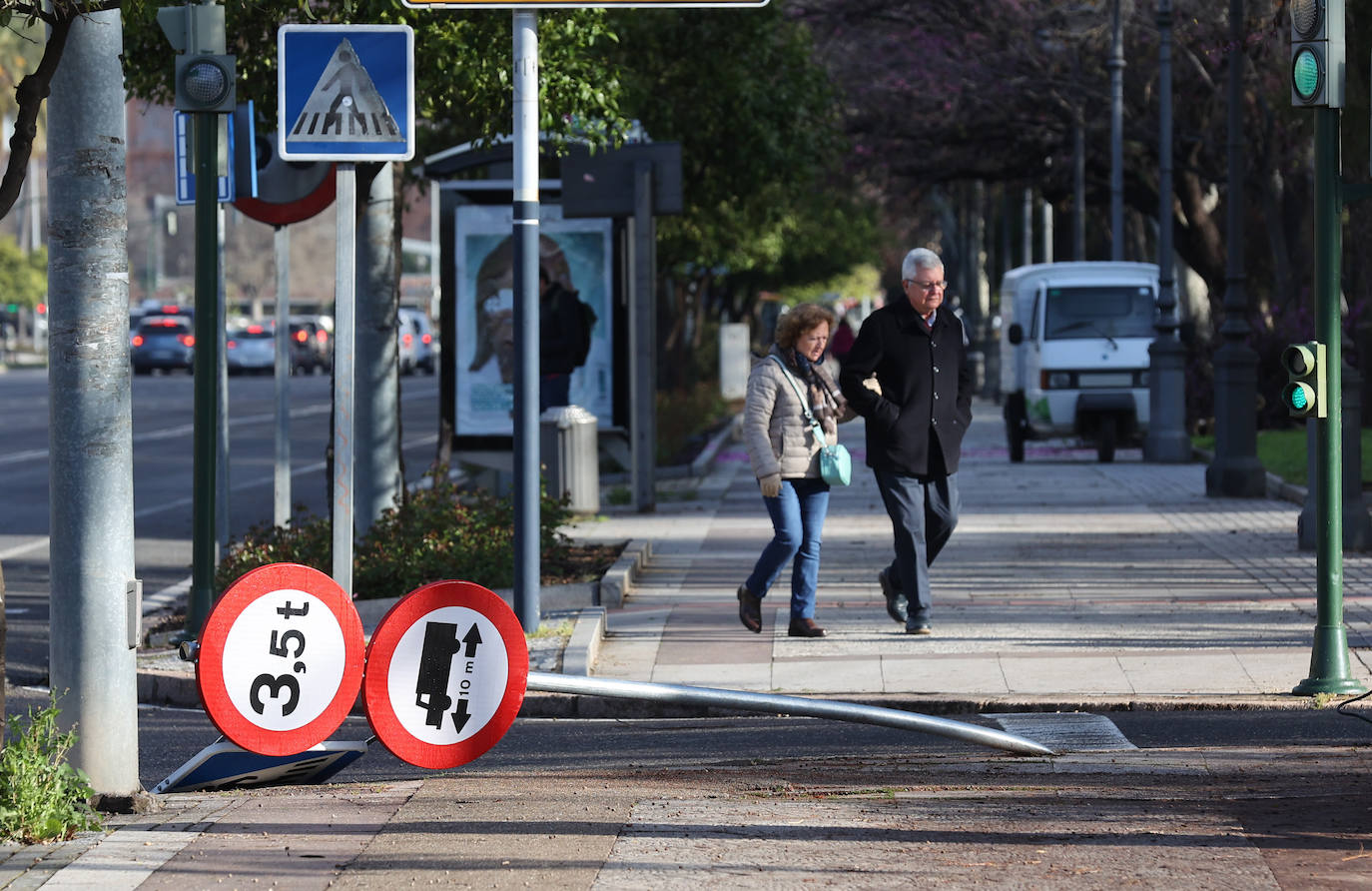 Fotos: operarios intentan recomponer el paisaje urbano de Córdoba tras el tornado