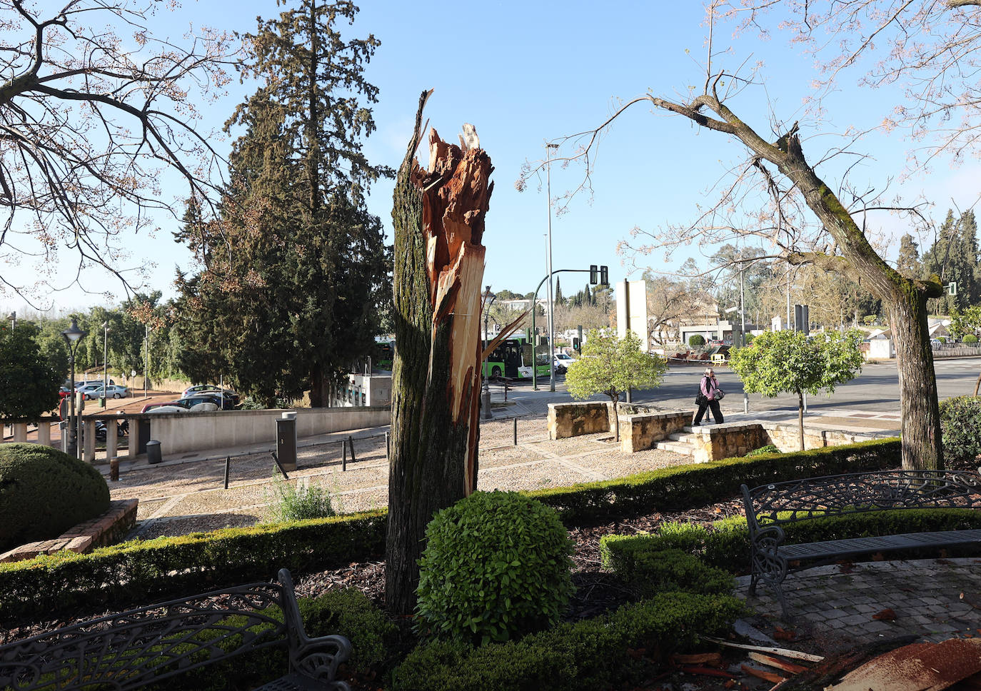 Fotos: operarios intentan recomponer el paisaje urbano de Córdoba tras el tornado