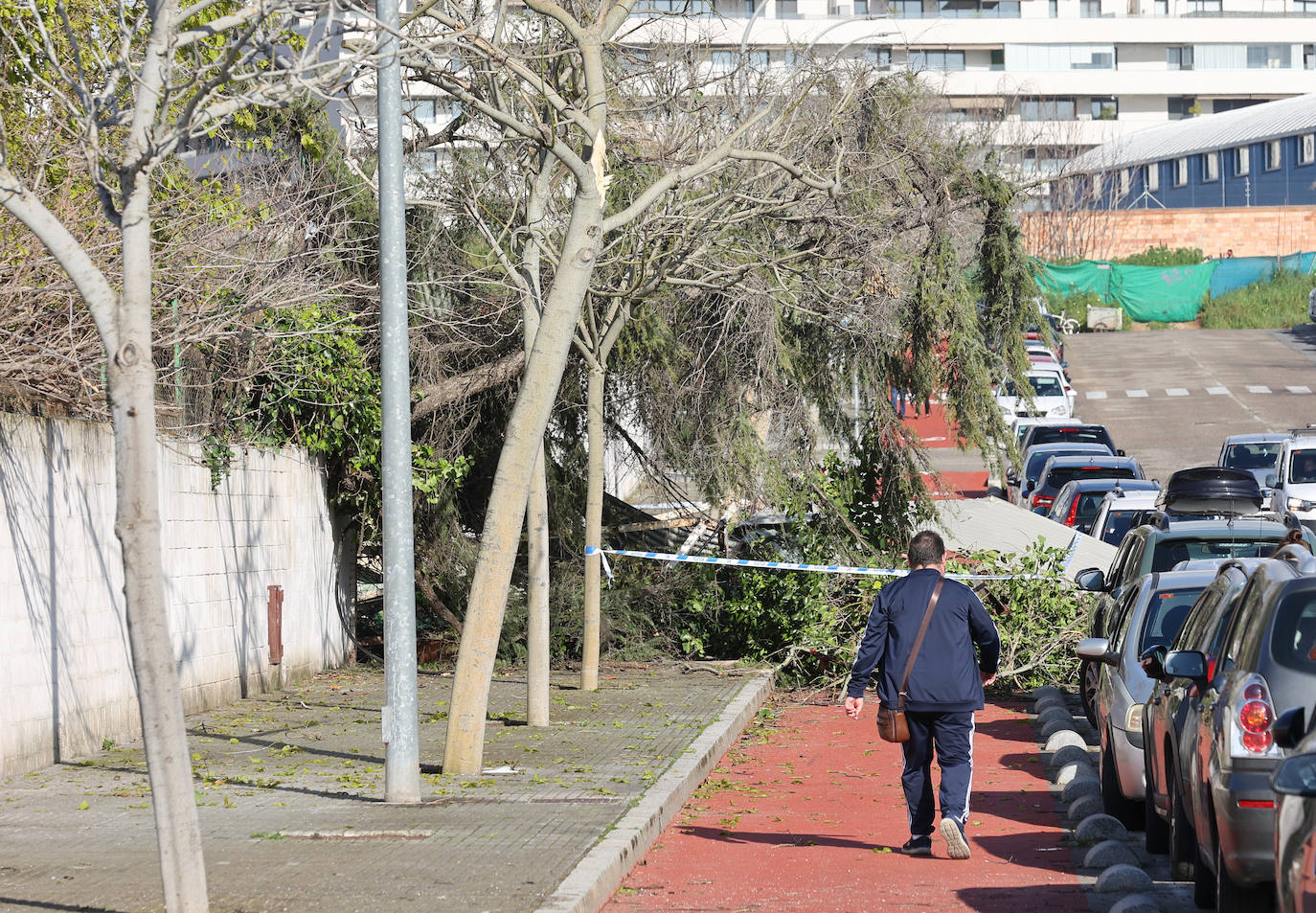 Fotos: operarios intentan recomponer el paisaje urbano de Córdoba tras el tornado