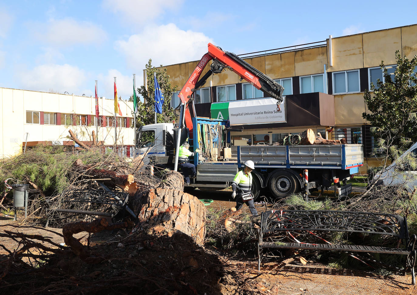 Fotos: operarios intentan recomponer el paisaje urbano de Córdoba tras el tornado