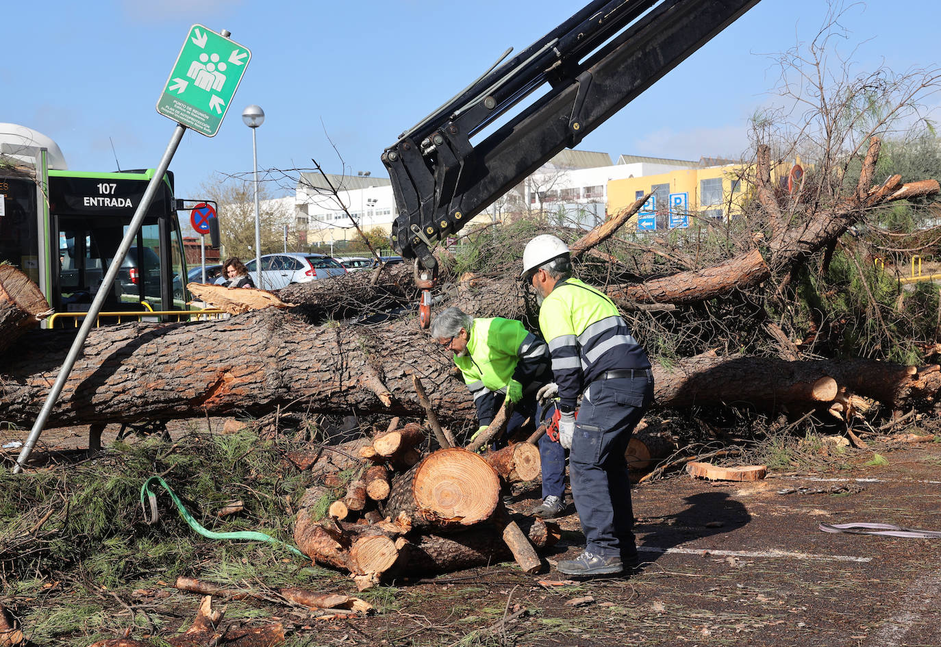 Fotos: operarios intentan recomponer el paisaje urbano de Córdoba tras el tornado
