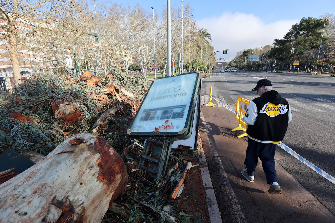 Fotos: operarios intentan recomponer el paisaje urbano de Córdoba tras el tornado