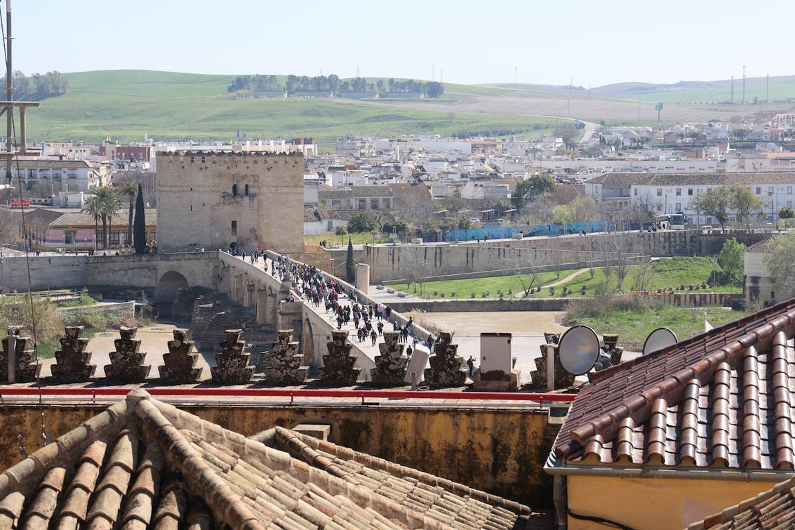 Fotos: la restauración de las cúpulas de la maqsura de la Mezquita-Catedral de Córdoba