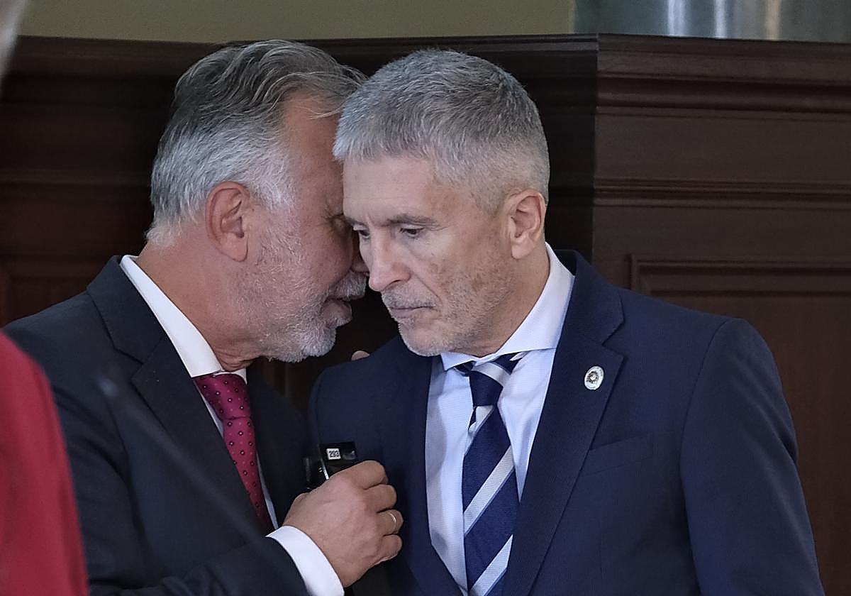 Marlaska y Torres, ministros del Interior y Política Territorial