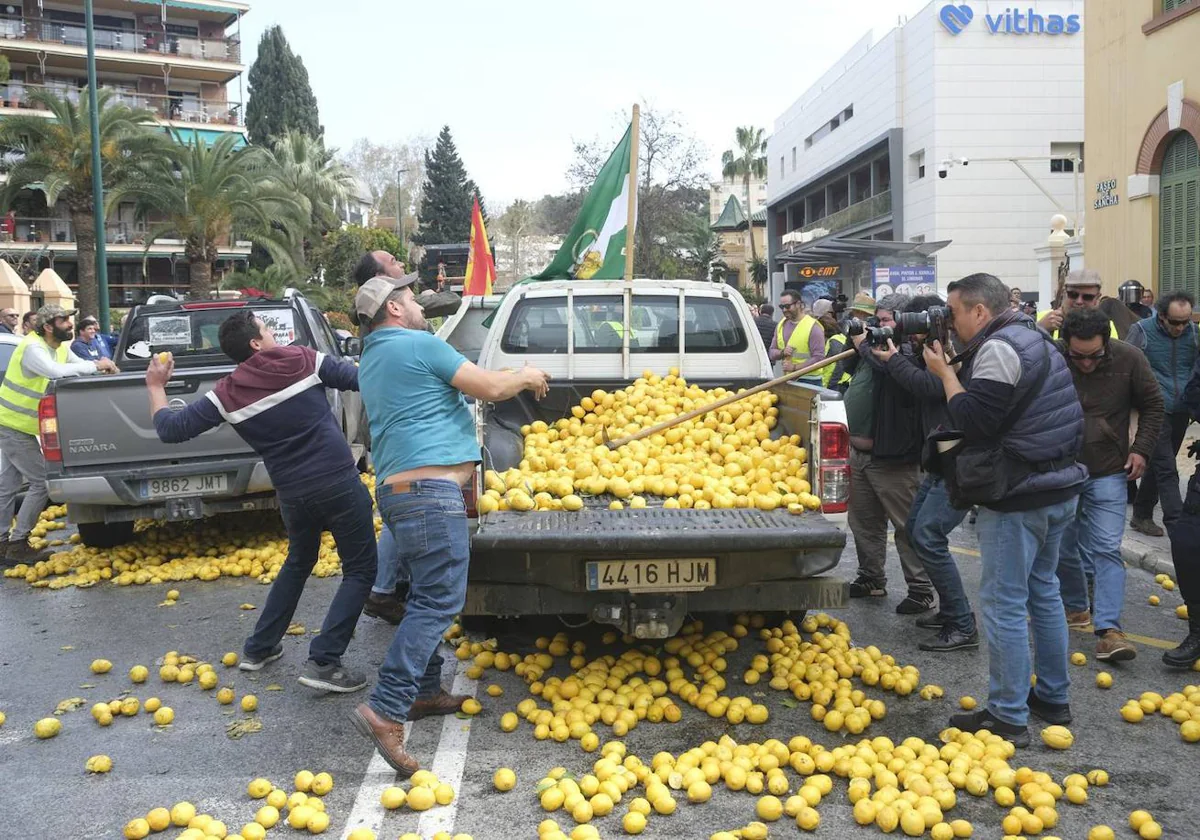 Algunos agricultores arrojan limones este miércoles contra la fachada de la sede de la Subdelegación del Gobierno en Málaga