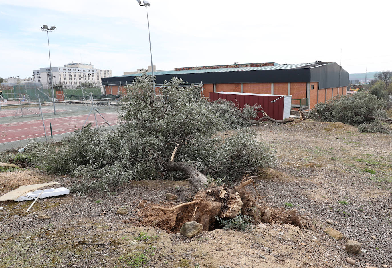 Fotos: en imágenes, los destrozos del tornado en las instalaciones de Ucodeporte en Córdoba